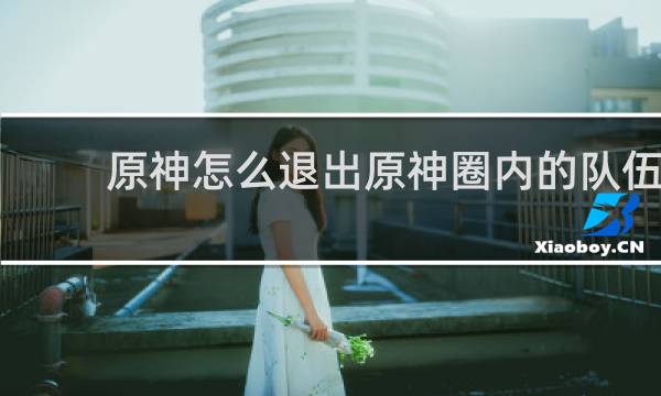 原神怎么退出原神圈内的队伍