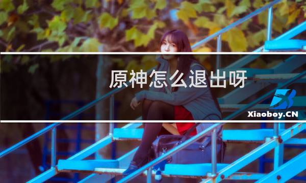 原神怎么退出呀