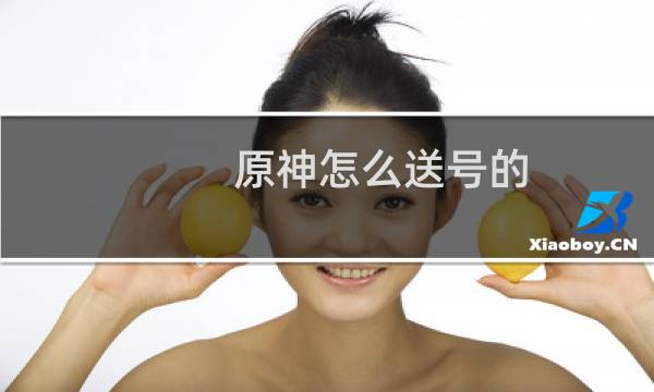 原神怎么送号的