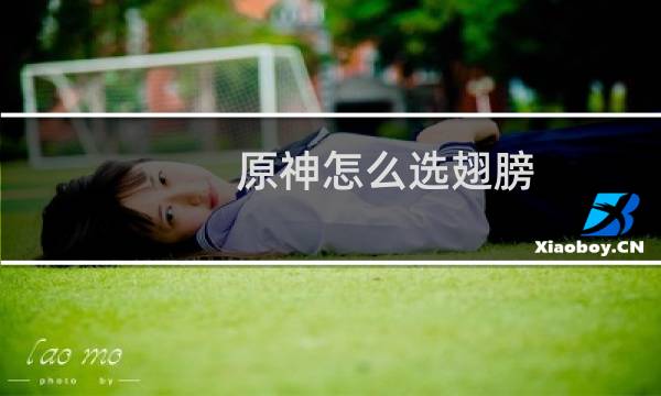 原神怎么选翅膀