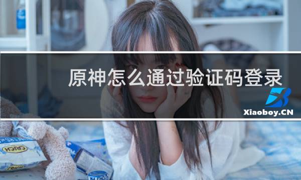 原神怎么通过验证码登录