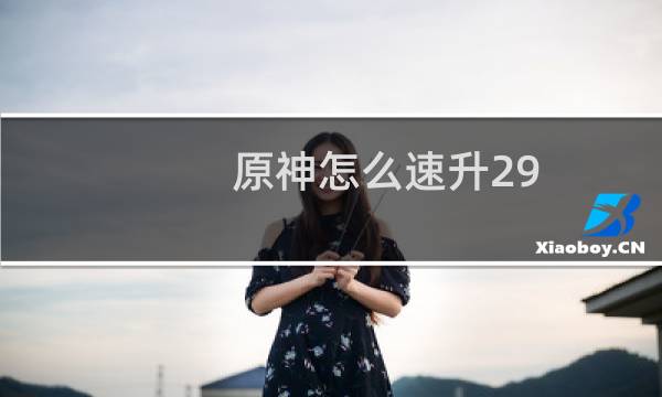 原神怎么速升29