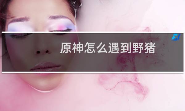 原神怎么遇到野猪