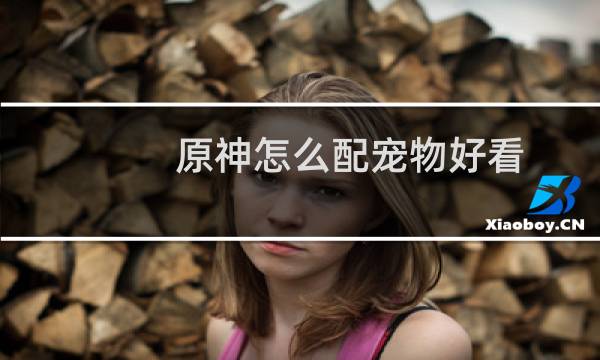 原神怎么配宠物好看