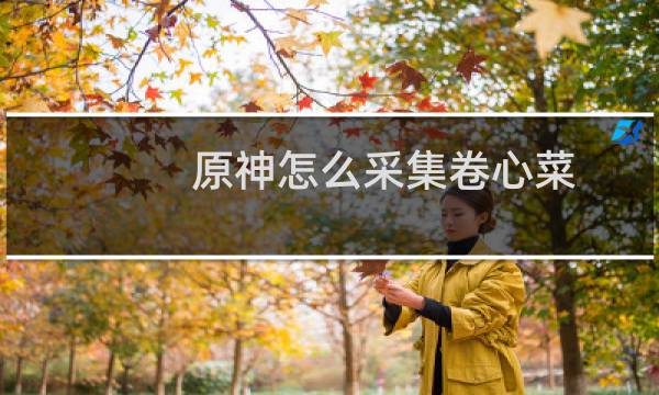 原神怎么采集卷心菜
