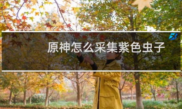 原神怎么采集紫色虫子
