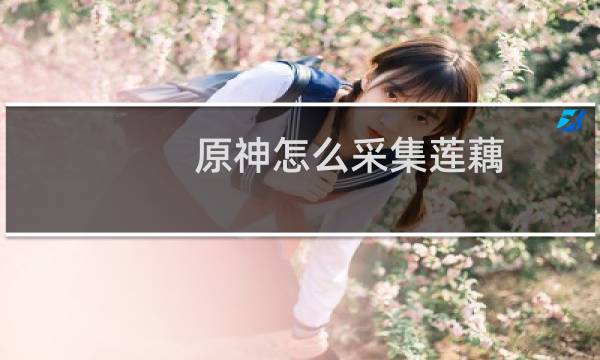 原神怎么采集莲藕