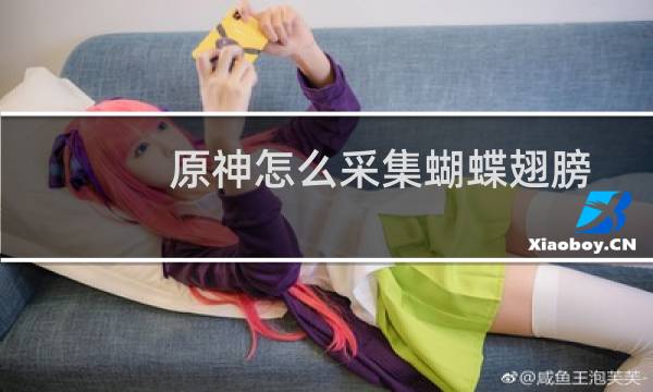 原神怎么采集蝴蝶翅膀