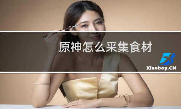 原神怎么采集食材