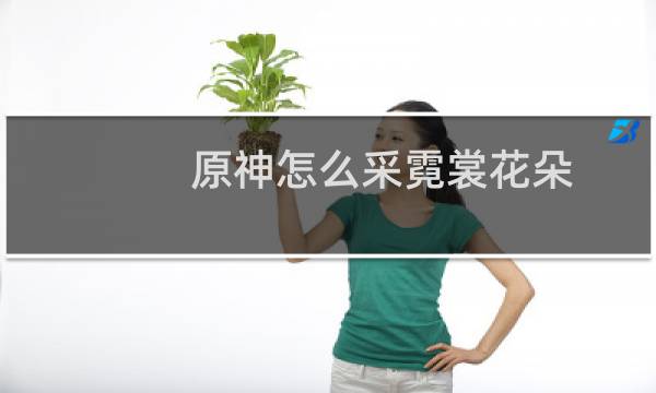 原神怎么采霓裳花朵