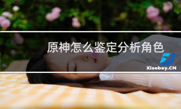 原神怎么鉴定分析角色