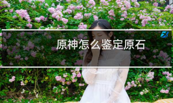 原神怎么鉴定原石