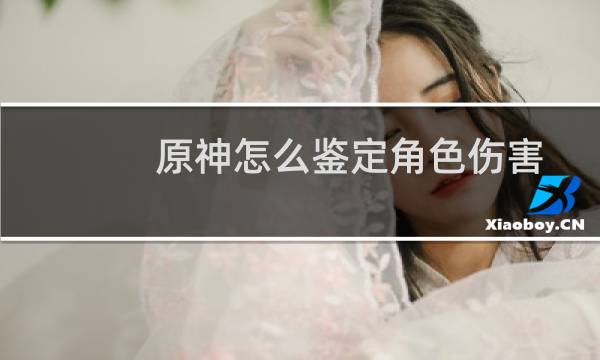 原神怎么鉴定角色伤害