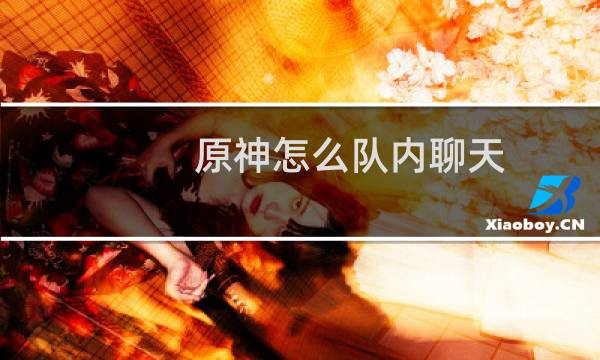 原神怎么队内聊天