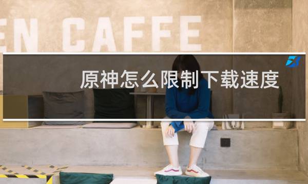 原神怎么限制下载速度