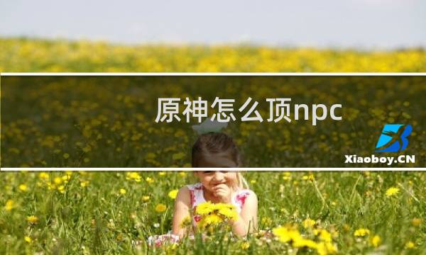 原神怎么顶npc