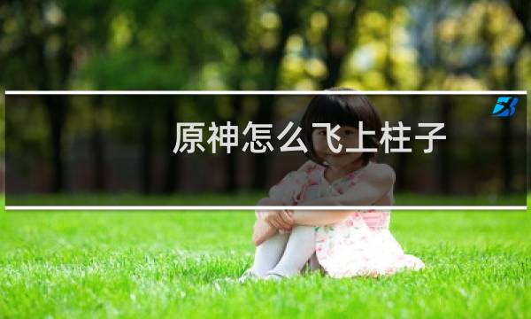 原神怎么飞上柱子