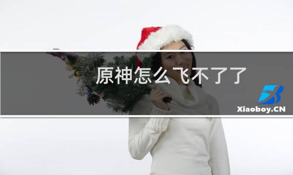 原神怎么飞不了了