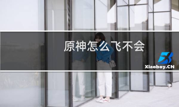 原神怎么飞不会