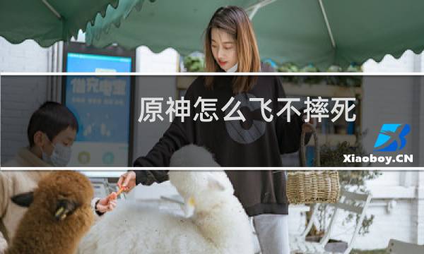 原神怎么飞不摔死