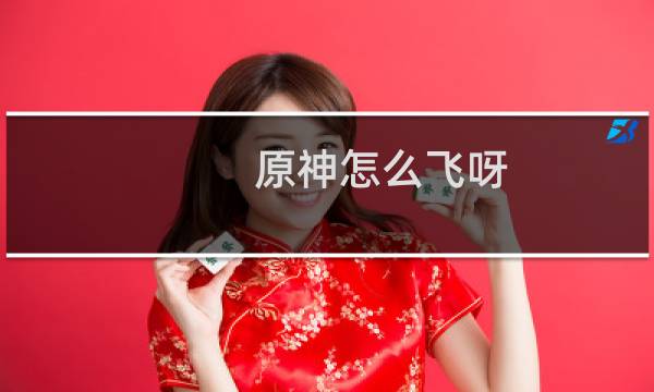 原神怎么飞呀