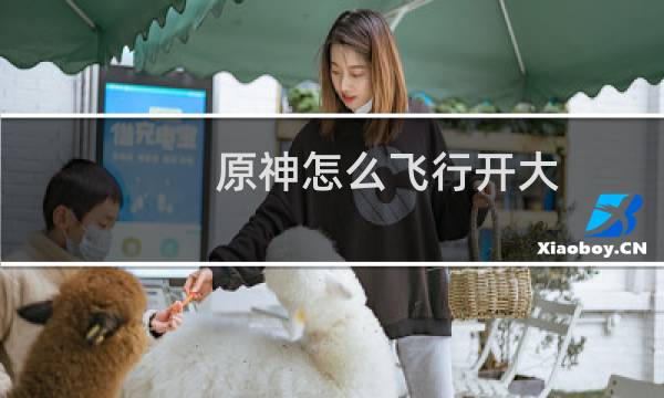 原神怎么飞行开大