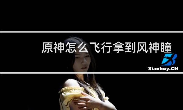 原神怎么飞行拿到风神瞳