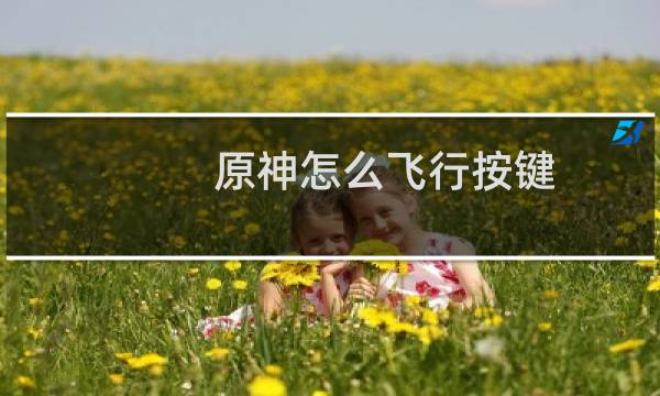 原神怎么飞行按键