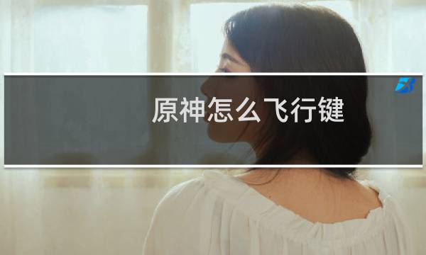 原神怎么飞行键