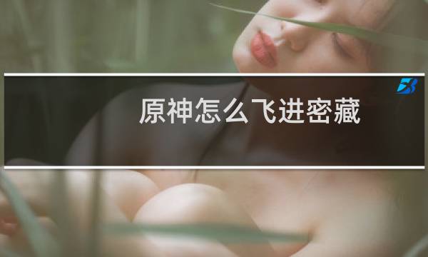 原神怎么飞进密藏