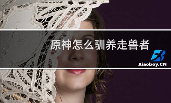 原神怎么驯养走兽者