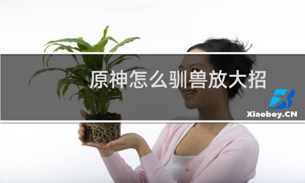 原神怎么驯兽放大招