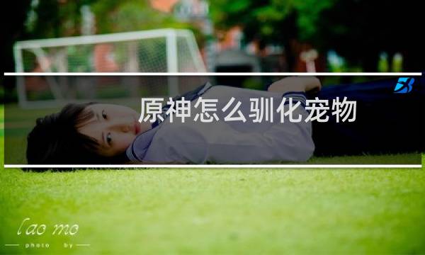 原神怎么驯化宠物