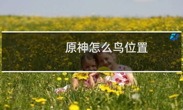 原神怎么鸟位置