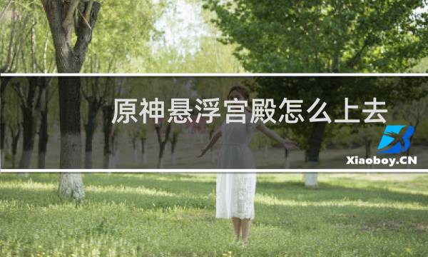 原神悬浮宫殿怎么上去