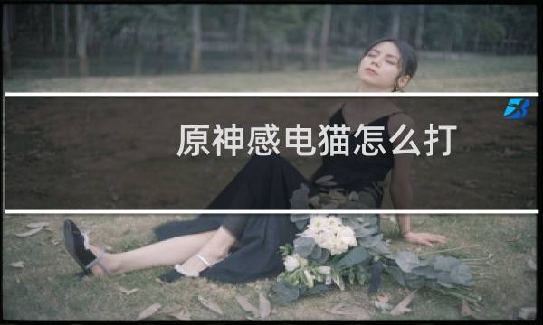 原神感电猫怎么打