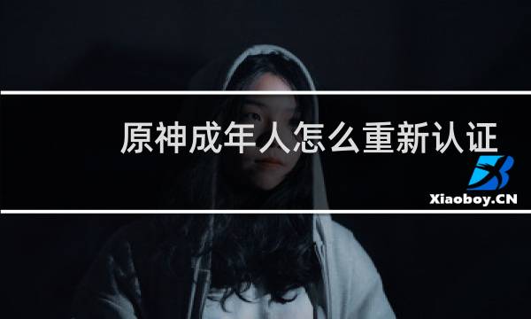 原神成年人怎么重新认证