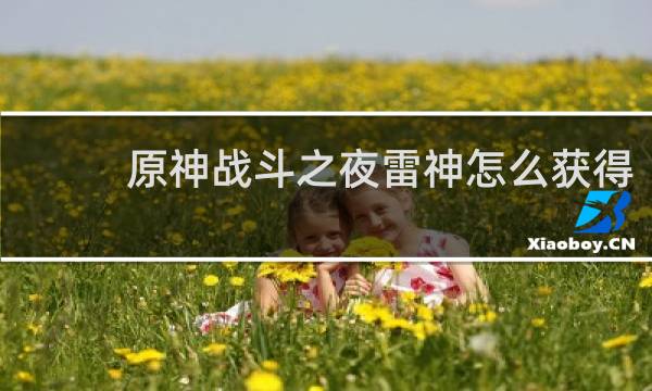 原神战斗之夜雷神怎么获得