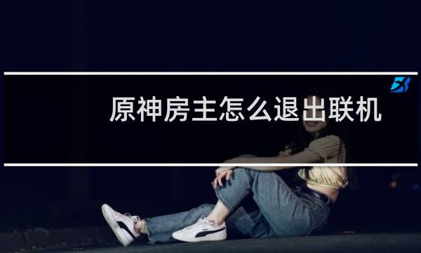原神房主怎么退出联机