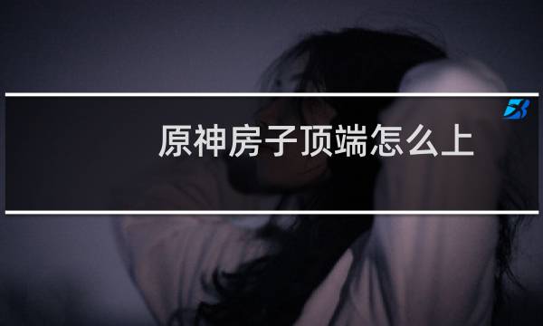 原神房子顶端怎么上