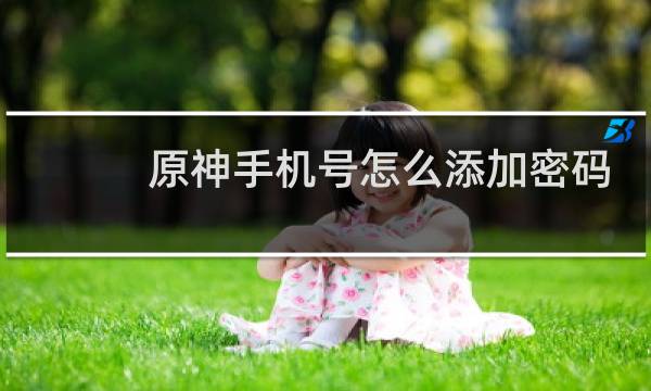 原神手机号怎么添加密码