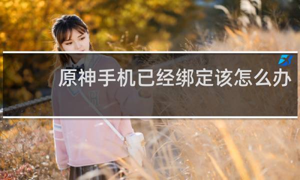 原神手机已经绑定该怎么办