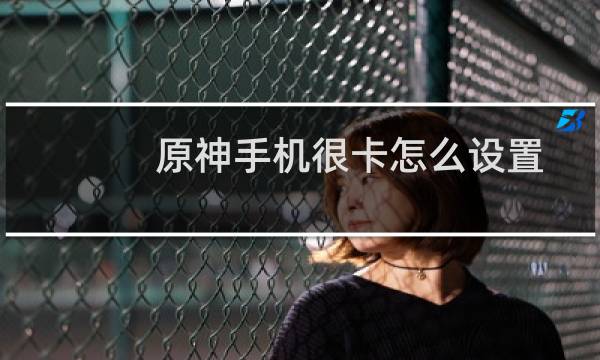 原神手机很卡怎么设置