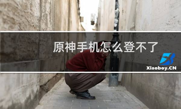 原神手机怎么登不了