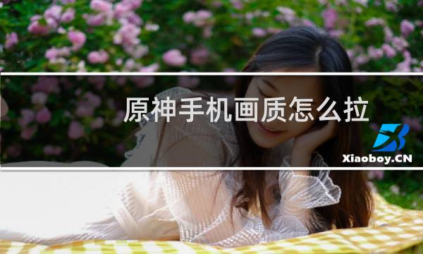 原神手机画质怎么拉