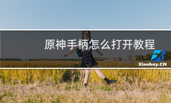 原神手柄怎么打开教程