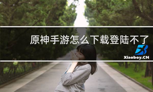 原神手游怎么下载登陆不了