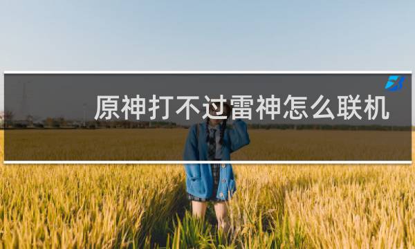 原神打不过雷神怎么联机