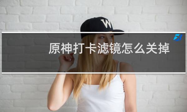 原神打卡滤镜怎么关掉