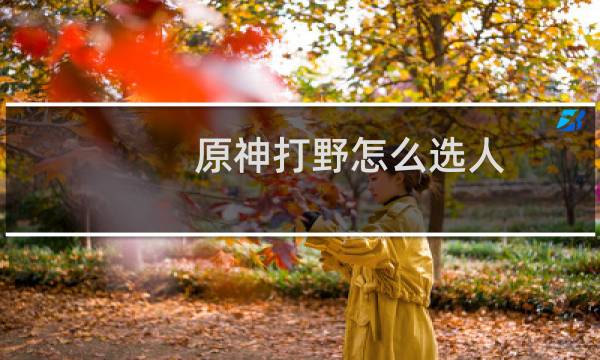 原神打野怎么选人